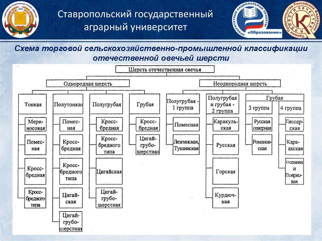 Схема технологии производства продукции овцеводства