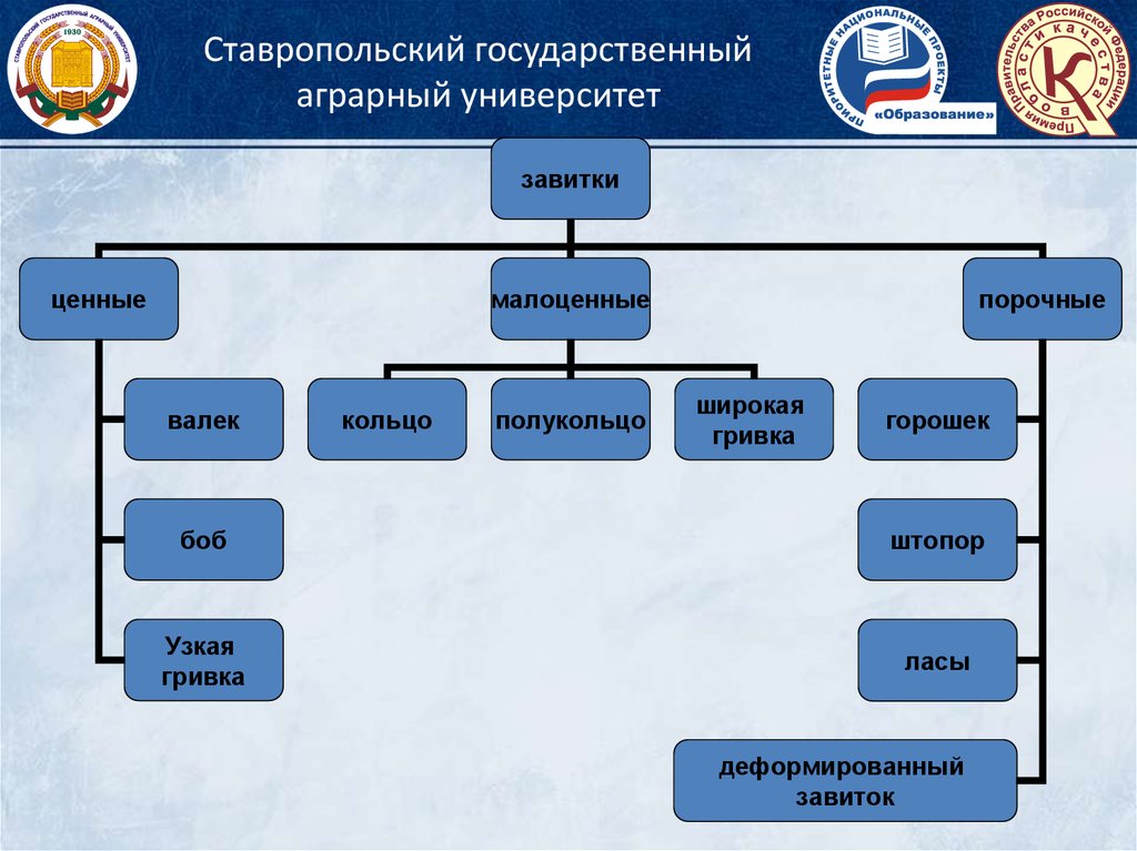 Схема технологии производства продукции овцеводства