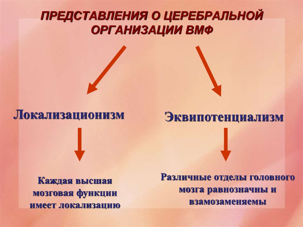 Психоморфологическое направление и концепция эквипотенциальности мозга презентация