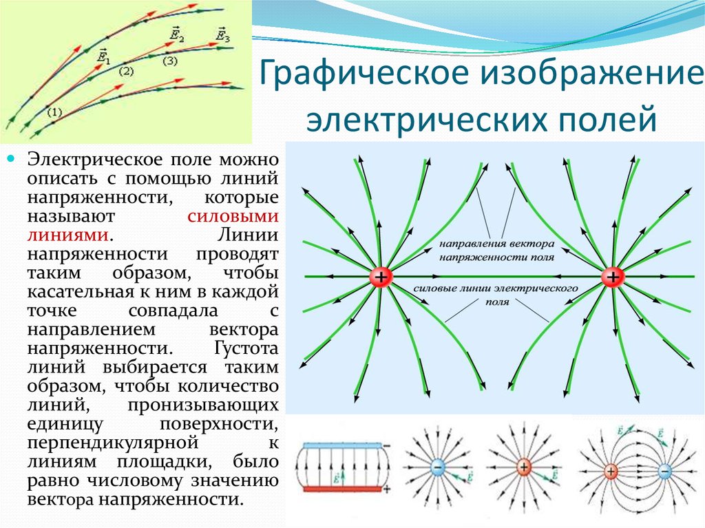 Картина силовых линий электростатического поля