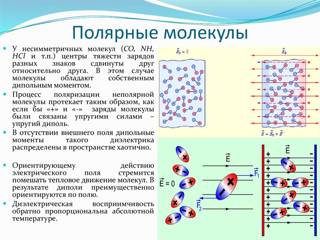 Полярные молекулы