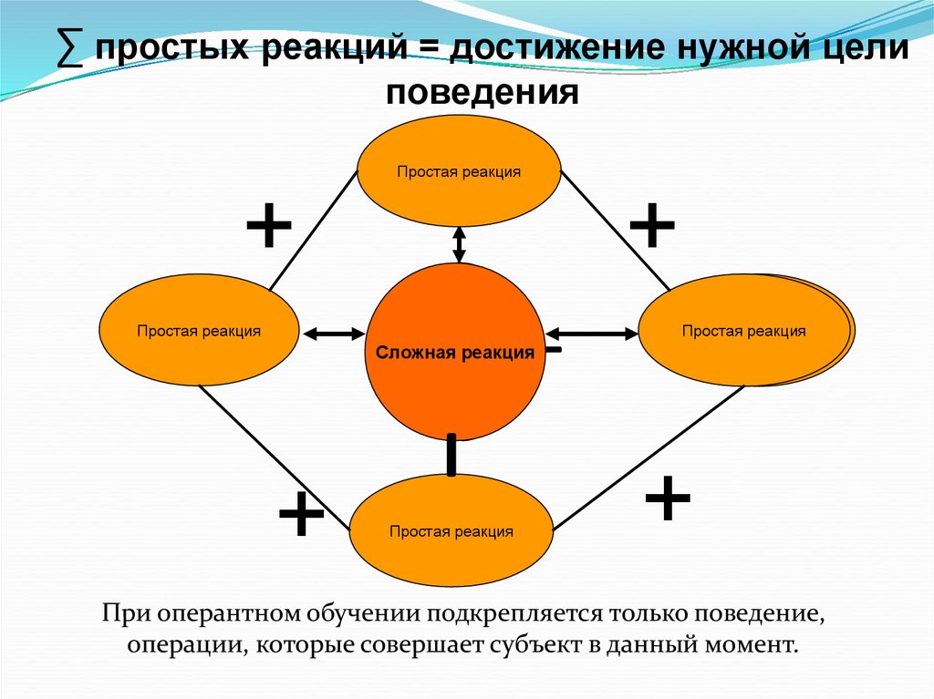 Поведение простейших