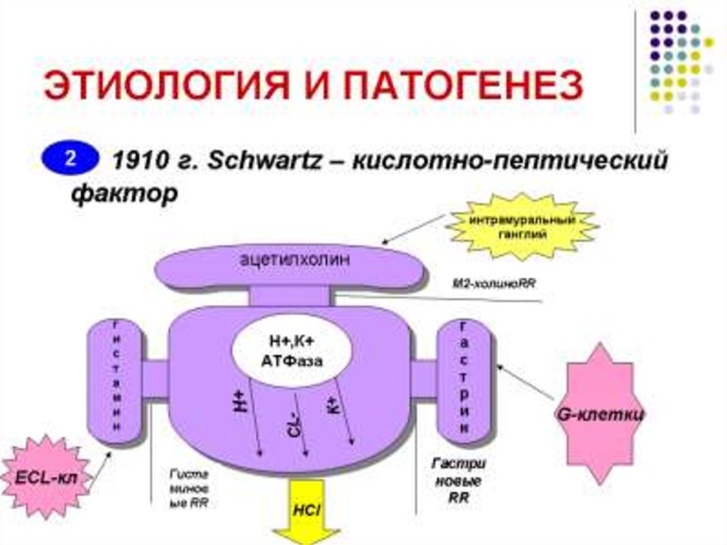 кислотно пептический фактор. пептический фактор это. факторы агрессии слизистой оболочки желудка. кислотный фактор. кислотно пептическая агрессия.