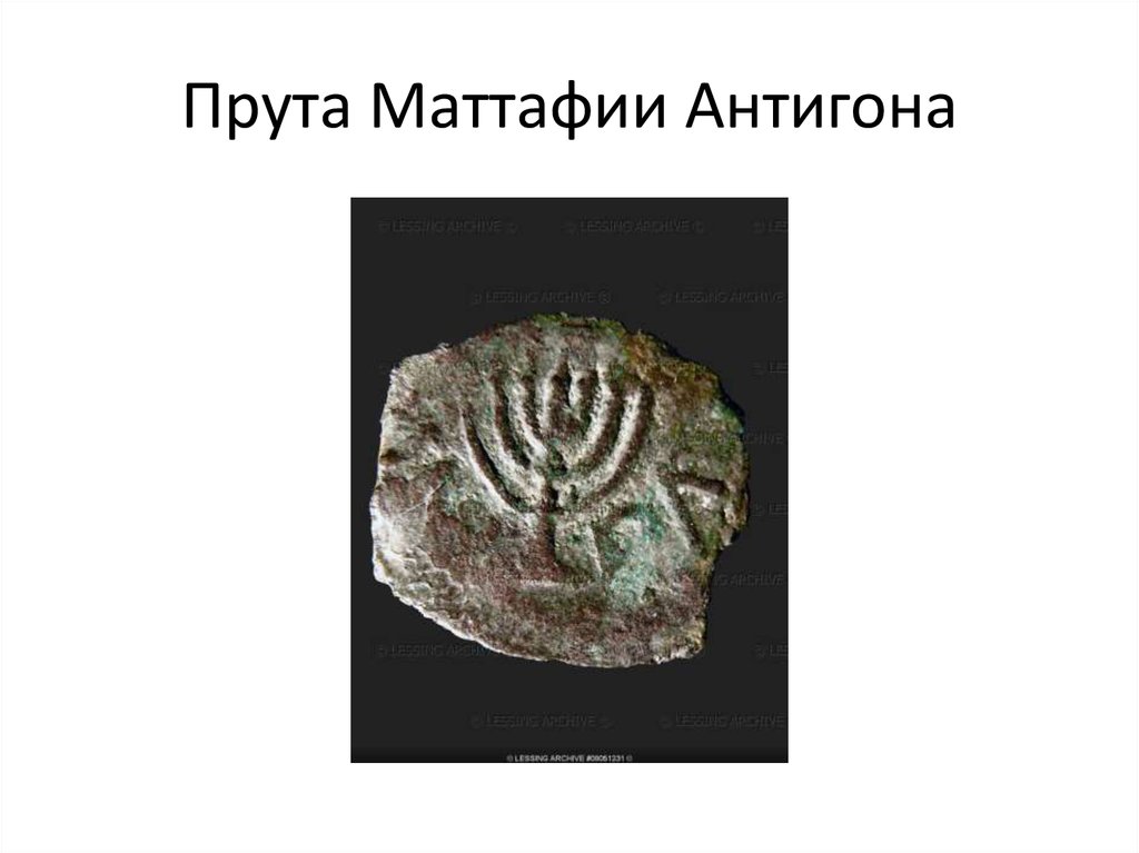 Прута Маттафии Антигона