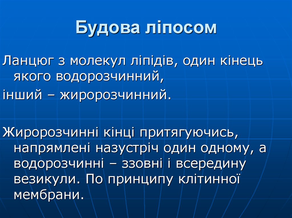 Будова ліпосом