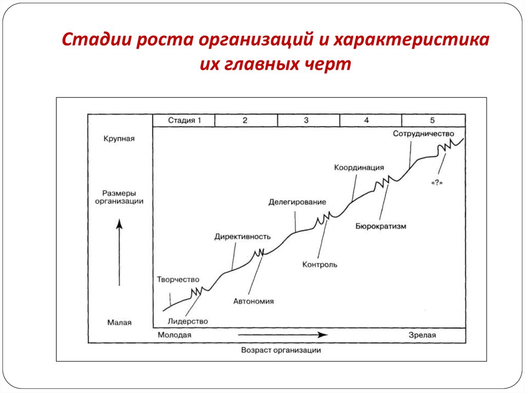 Этапы роста. Этапы роста компании. Стадия роста. Этап роста организации. Стадии роста предприятия.