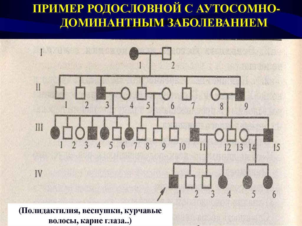 Генетическая схема