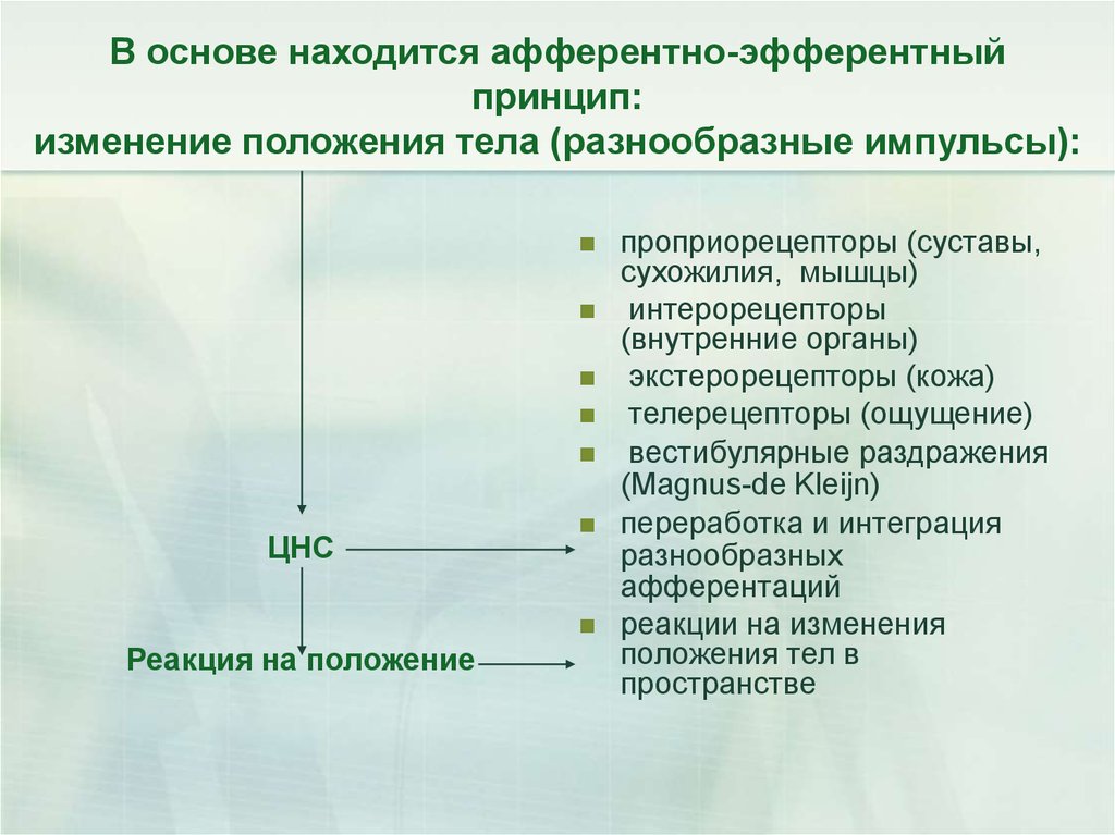 Принцип изменения. Войта терапия презентация. Реакции положения по Войта. Роль измененяюшихся афферентпции от проприорецепторов мышц суставов. Роль изменяющейся афферентации от проприорецепторов мышц сустав.