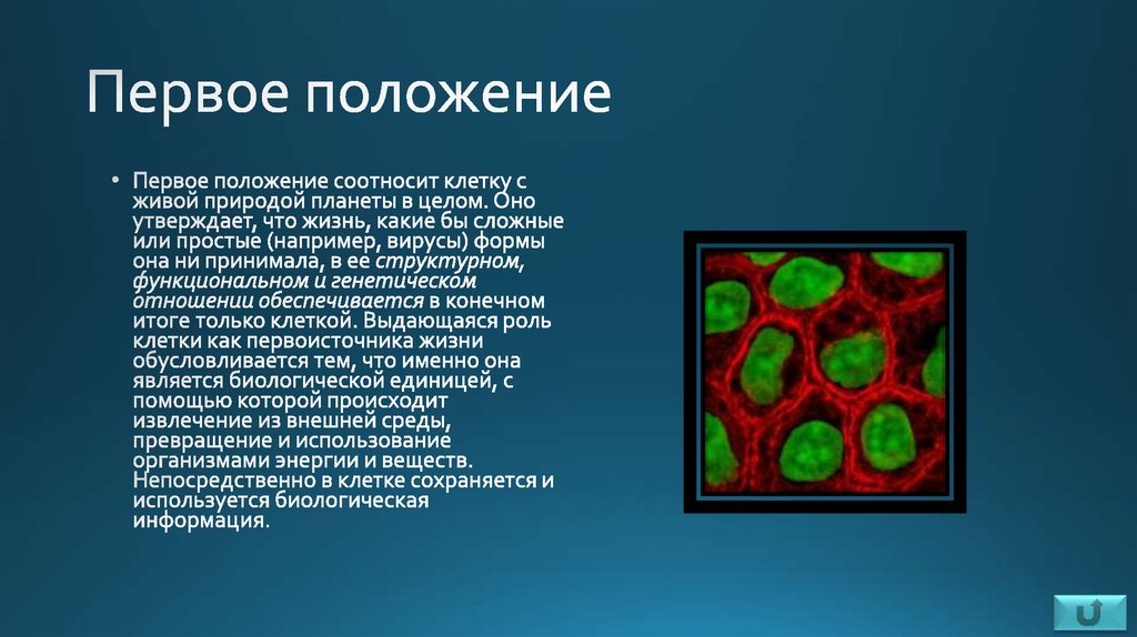 Клеточная теория картинки для презентации