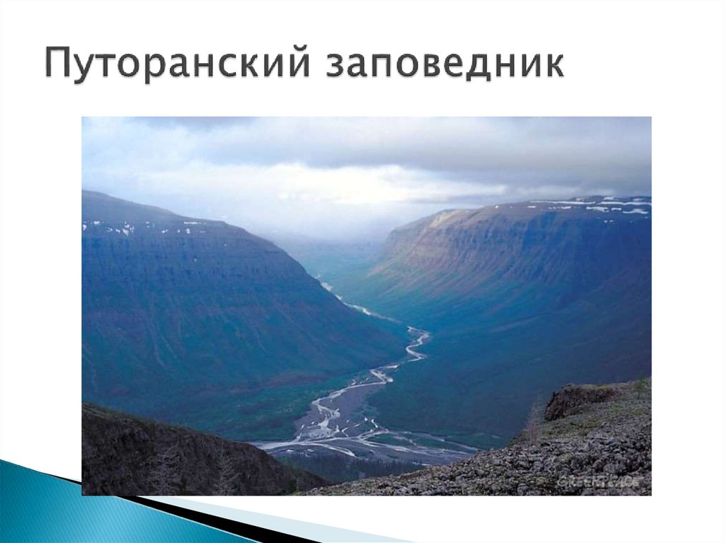 Путоранский заповедник