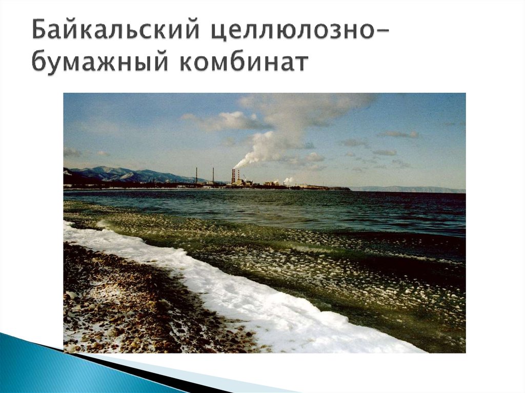 Байкальский целлюлозно-бумажный комбинат