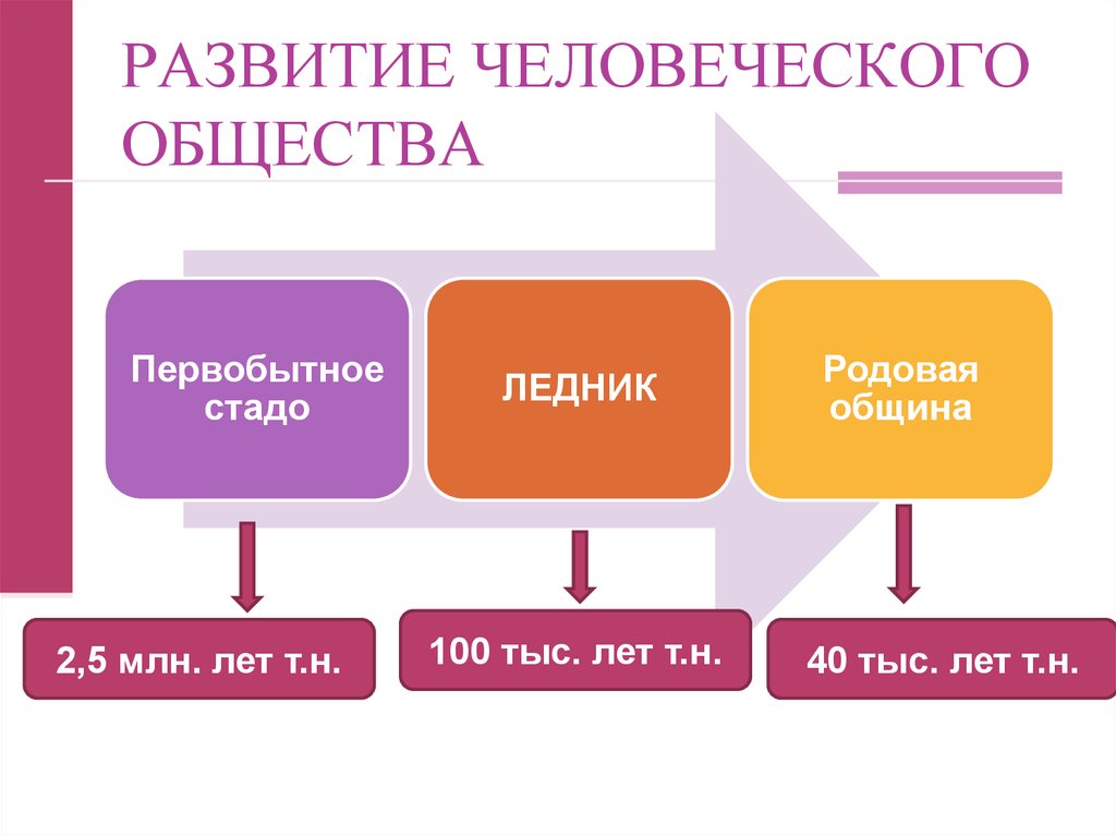 Человечности общества. Эволюция человеческого общества. Этапы становления человеческого общества. Уровень развития человеческого общества. Фазы развития человеческого общества.