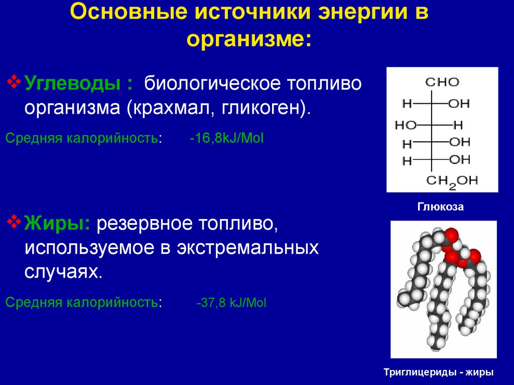 Основной источник энергии в организме. Основной источник энергии в организме человека. Основным источником энергии в организме являются. Основными источниками энергии для организма являются:. Главный источник энергии в организме это.