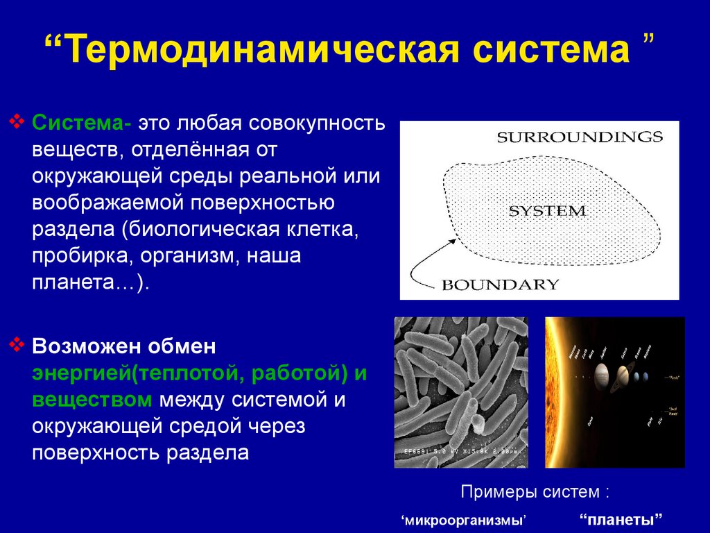 Термодинамическая система. Термодинамические системы их классификация. Примеры термодинамических систем. Открытые термодинамические системы.