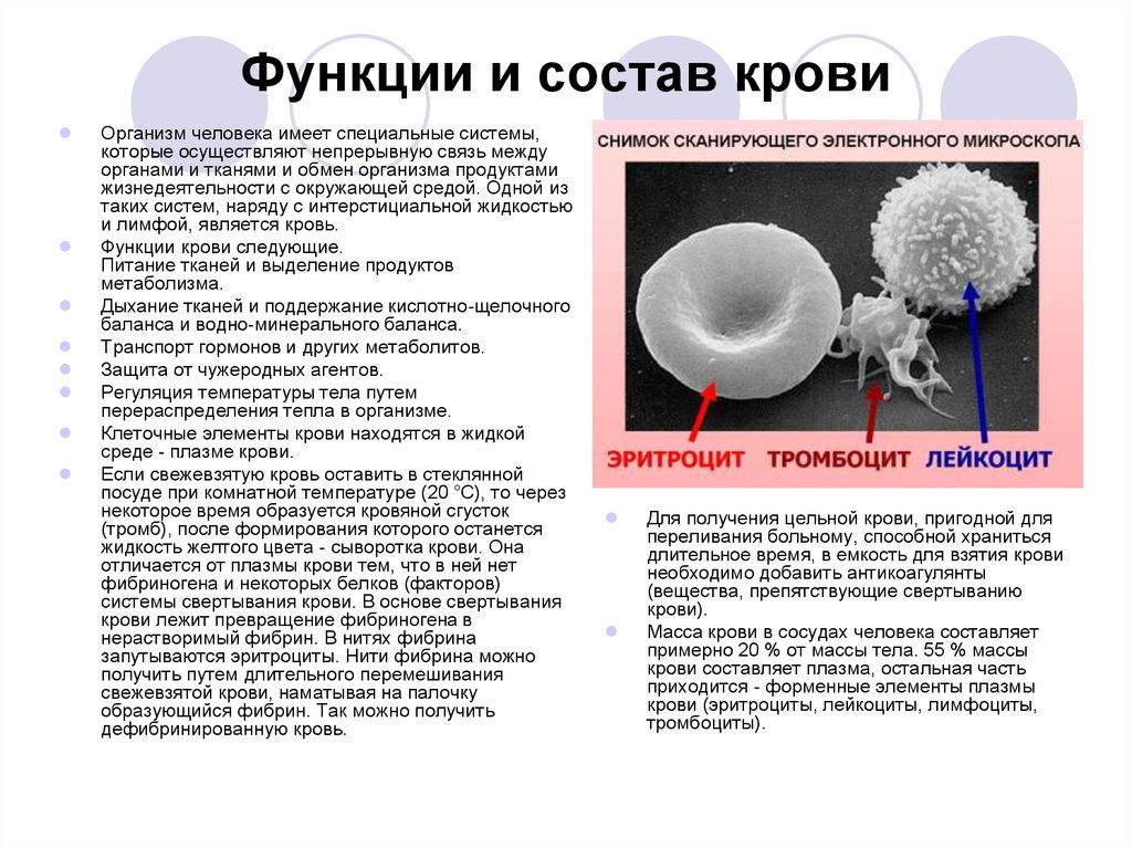 Состав функции. Кровь строение и функции. Кровь ее состав и функции. Состав крови строение и функции. Состав и функции крови кратко.