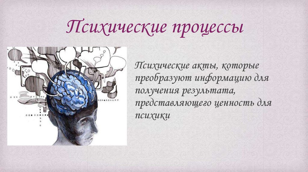 Познавательная деятельность мозга презентация - 98 фото