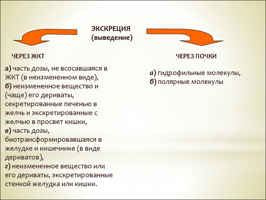 Выведение. Выведение экскреция. Экскреция тонкого кишечника. Опасность выведения жирорастворимых лекарственных веществ через ЖКТ.