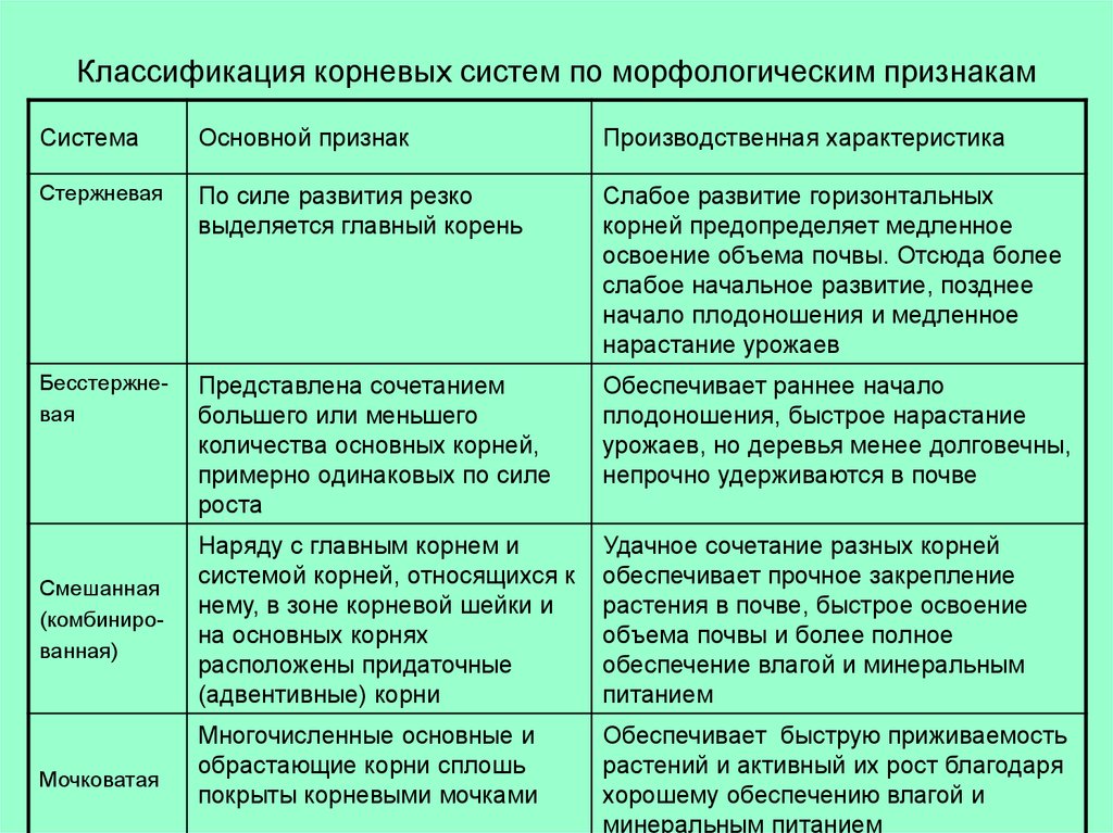 Морфологические признаки зеленые