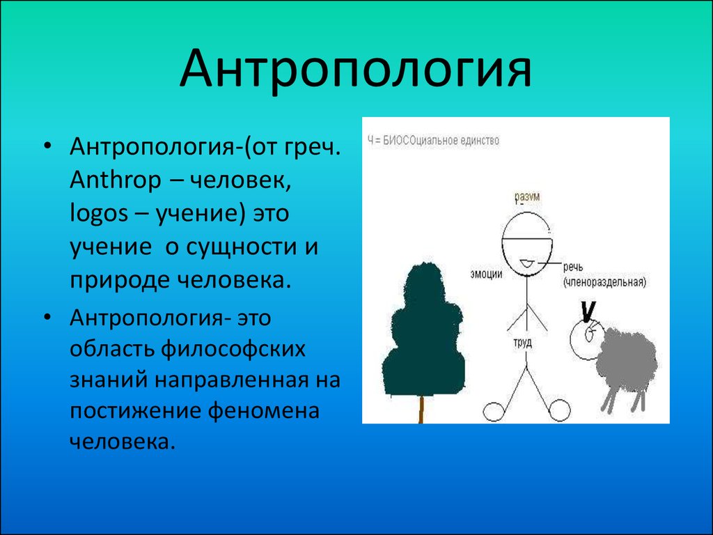 Антропология человека. Антропология. Антропология это учение о. Антропология данные человека это.