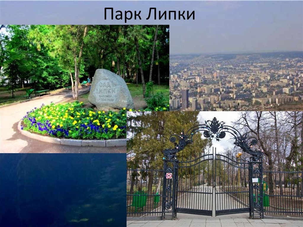 Парк липки саратов карта