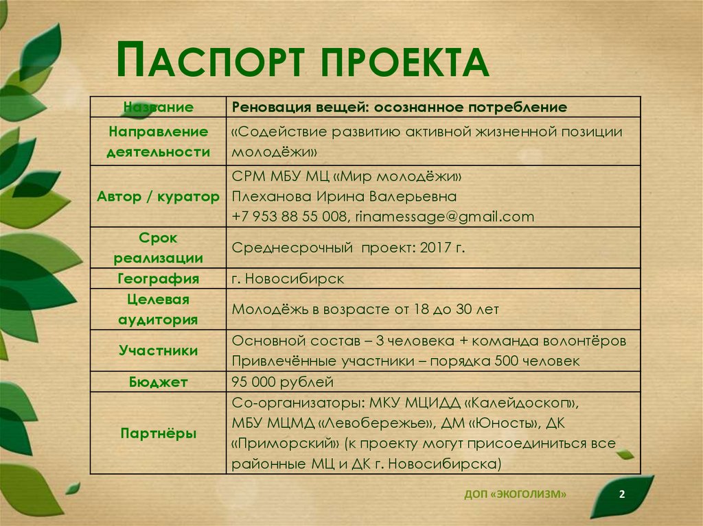 Паспорт индивидуального проекта 10 класс шаблон