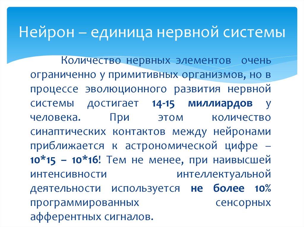 Единица нервной системы. Нервных процессов в организме. Аспекты боли. Неупотребление нервных элементов - это.