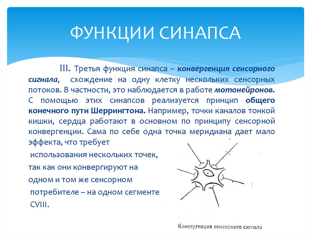 Третья функция. Функции синапса. В чем заключается функция синапсов?. Функции синапса кратко. Функционирование синапса.