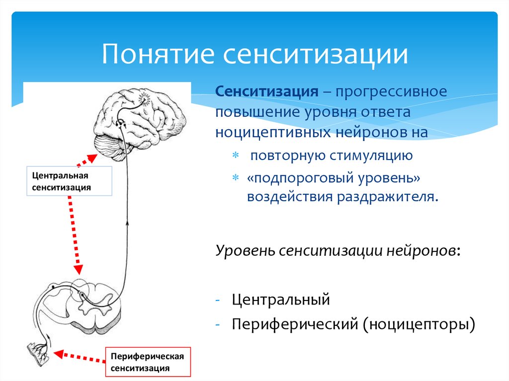 Схема патогенеза развития дисфункции внчс