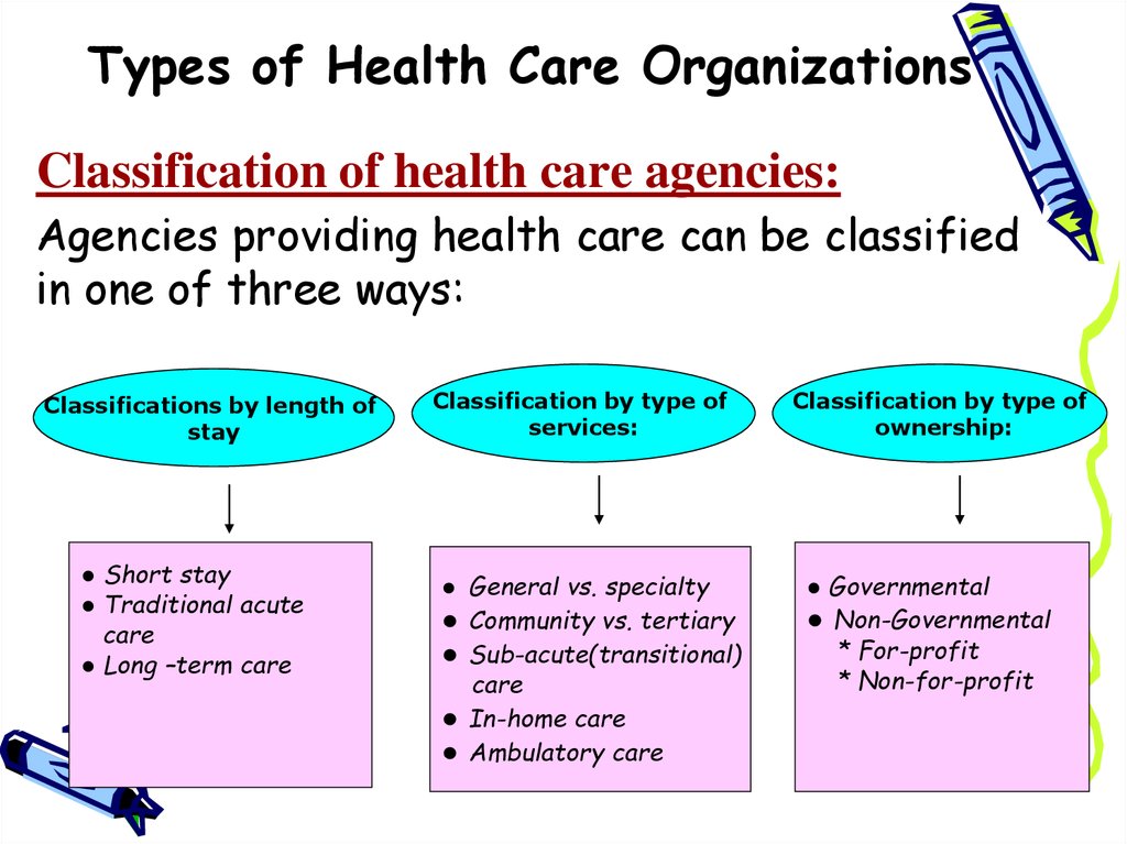 Types Of Health Care Organizations The Organization Of Work In These 