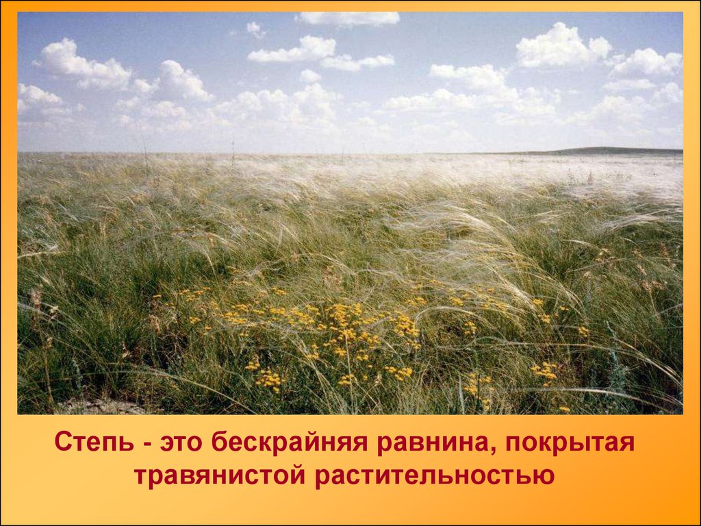 Какие природные зоны есть в степи. Степь. Степь это природная. Степи России. Зона степей.