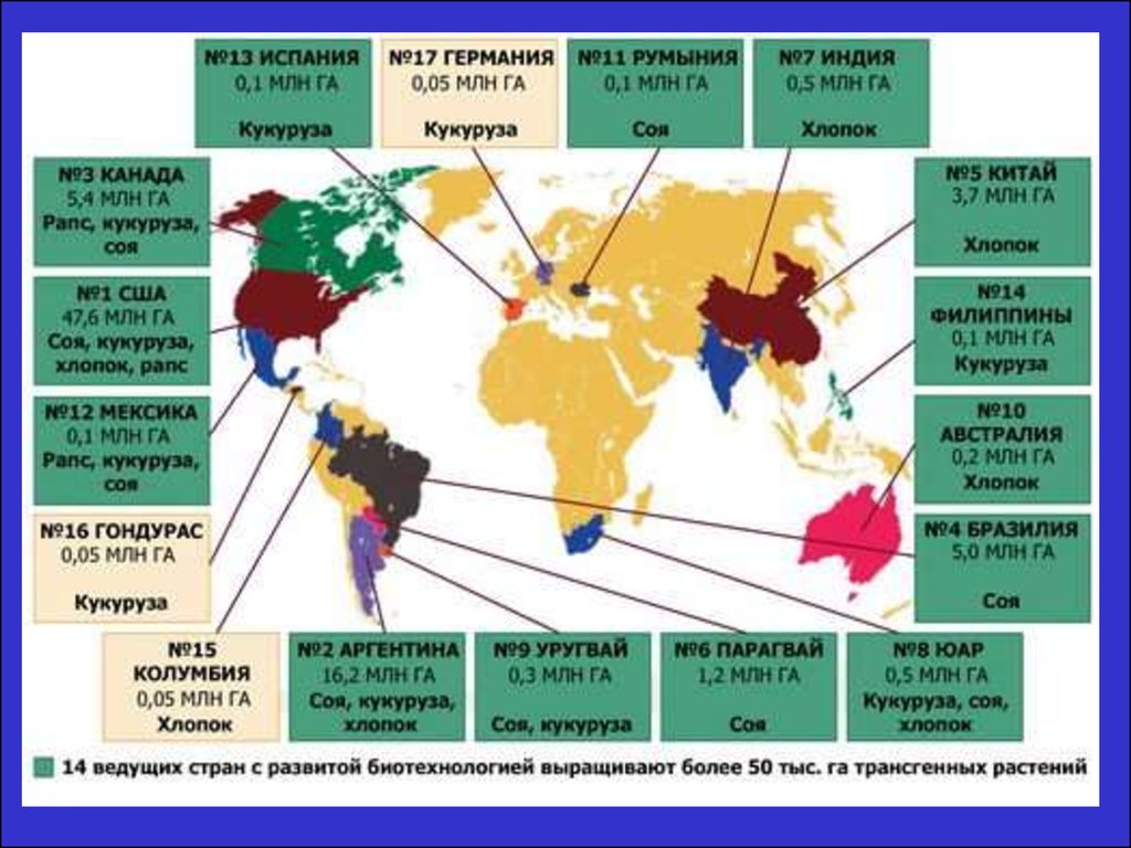 Страны выращивающие хлопок. Трансгенные растения в мире. Карта распространения ГМО. Страны выращивающие трансгенные растения. Распространение ГМО.