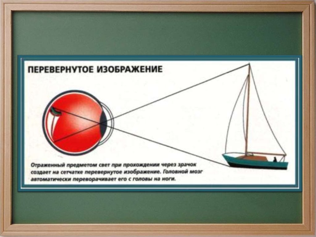 Не перевернутое изображение