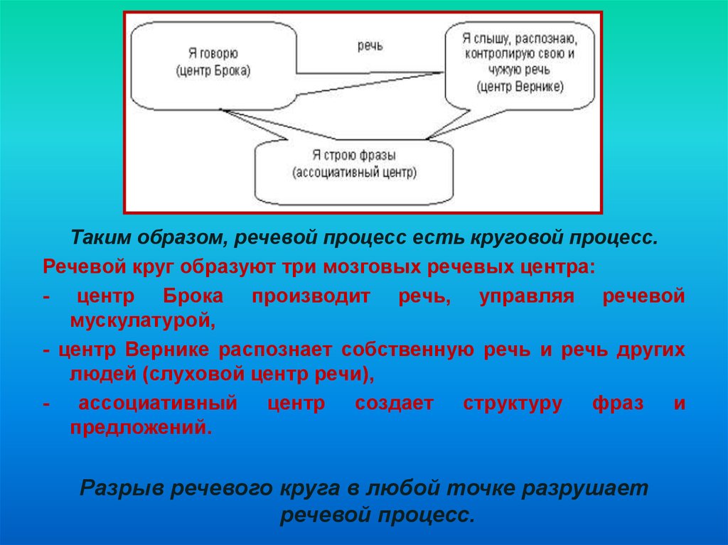 Речевой образ. Речевой круг это. Речевой процесс есть круговой. Центр Брока и Вернике.