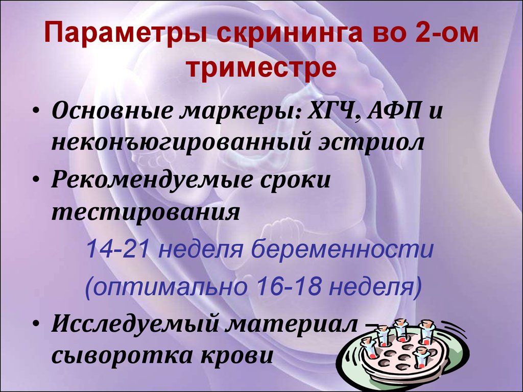 Сроки скринингов. Скрининг 2 триместра сроки. Скрининг сроки проведения. Скрининг при беременности сроки проведения.