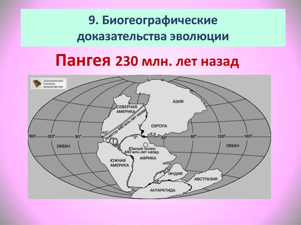 Биогеографические доказательства эволюции картинки