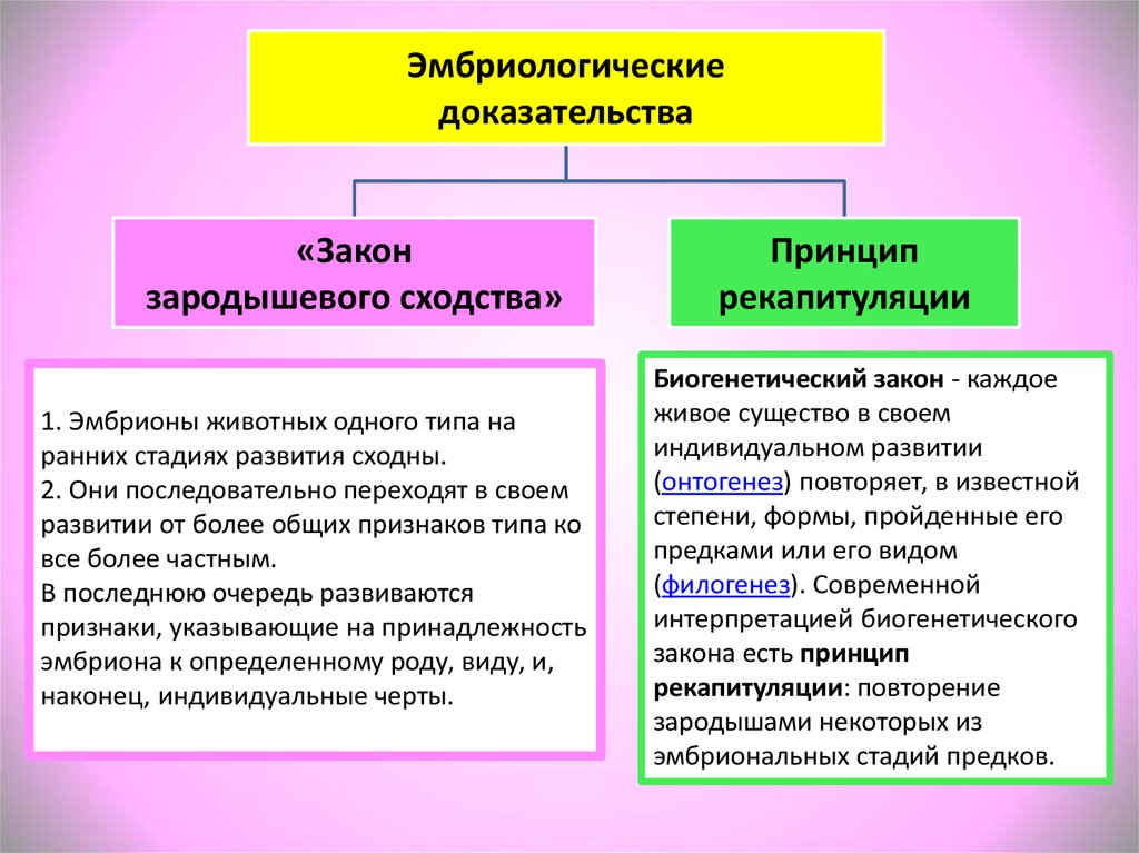 На рисунке ниже представлено одно из доказательств эволюции какая наука предоставляет такого рода