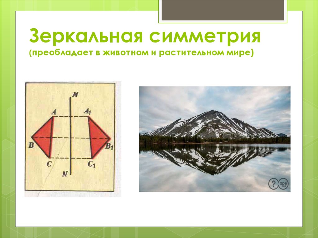 Симметрия в пространстве 6. Зеркальная симметрия. Отзеркаленная симметрия. Зеркальная симметрия примеры. Зеркальная симметрия в геометрических фигурах.