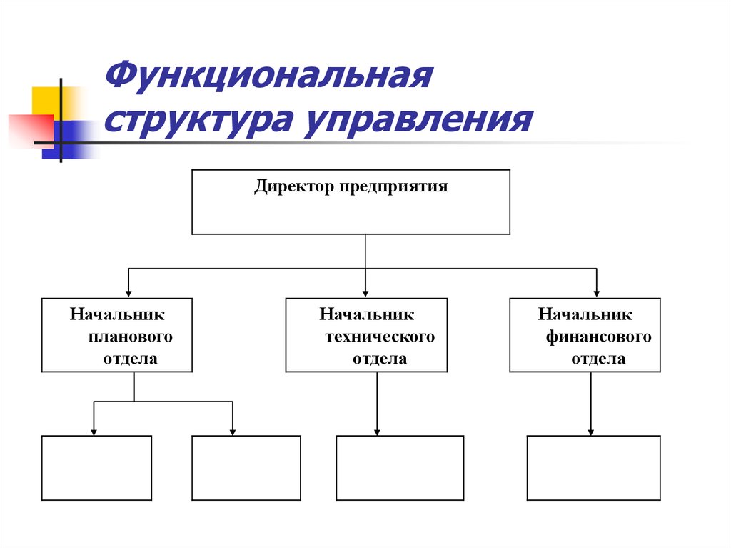 Функциональная структура общества. Функциональная структура управления. Функциональная структура финансового отдела. Планово-финансовый отдел структура. Структура функционального состояния.