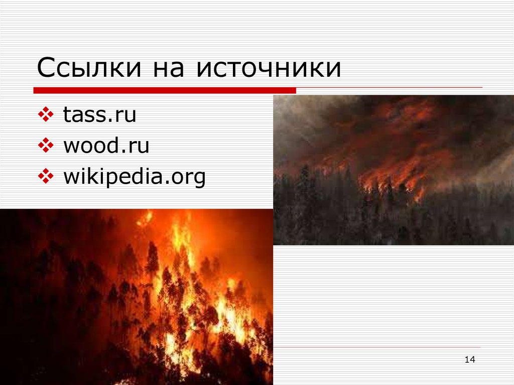 Зона действия пожара. Лесные и торфяные пожары защита. Классификация лесных пожаров. Природные пожары пути решения проблемы. Зоны пожара.