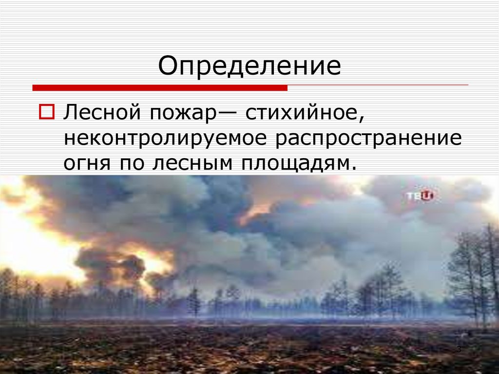 Лесные пожары виды. Стихийное распространения огня. Лесной пожар это определение. Определение площади лесного пожара. Как определить размер лесного пожара.