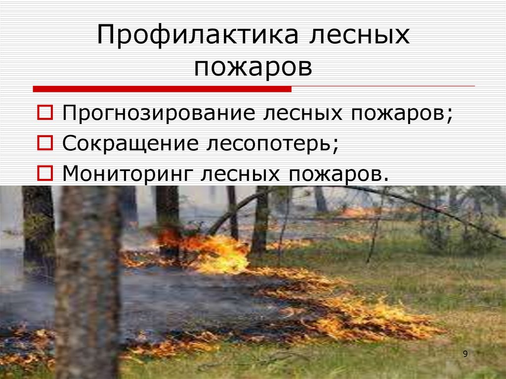 Природные пожары кратко. Профилактика лесных пожаров. Предупреждение возникновения лесных пожаров. Профилактика пожаров лесов. Методы профилактики лесных пожаров.