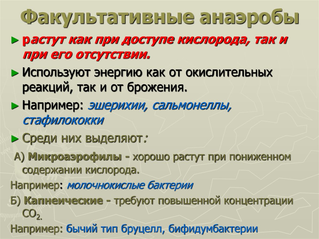 Анаэробные организмы. Факультативные анаэробы. Факультативные анаэробы примеры. Факультативные анаэробы это микробиология. Факультативные аэробы.