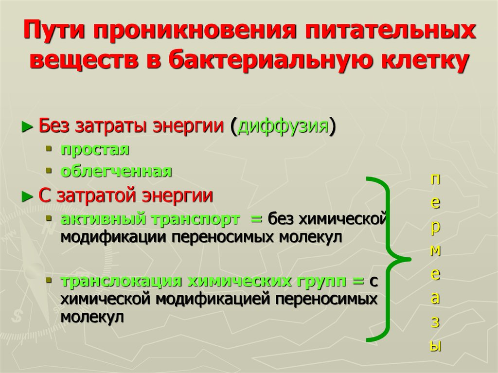 Поступление веществ в клетку схема