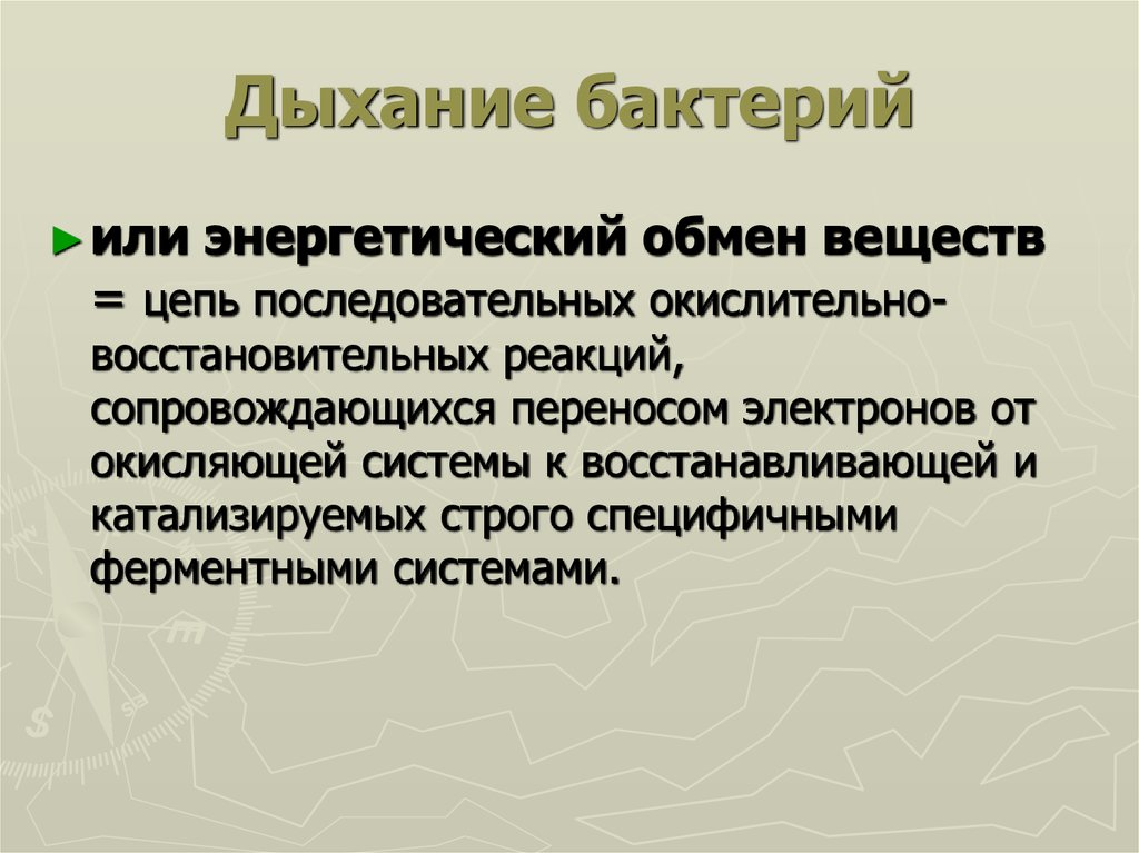 Дыхание бактерий. Основные типы дыхания бактерий. Типы дыхания бактерий микробиология. Дыхание бактерий микробиология.