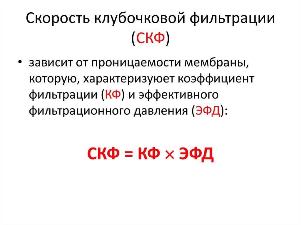 Скф это. Скорость клубочковой фильтрации. СКФ скорость клубочковой фильтрации что это. Скорость клубочковой фильтрации 65 мл/мин. Чему равна скорость клубочковой фильтрации.