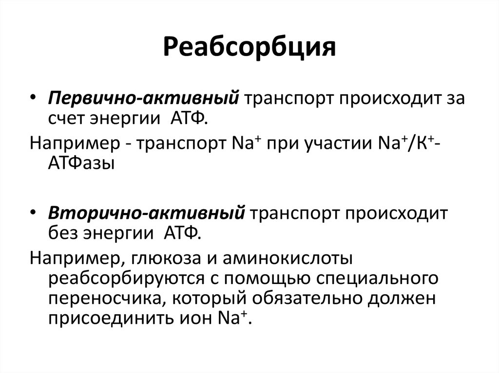 Абсорбция и реабсорбция образование мочи презентация 10 класс