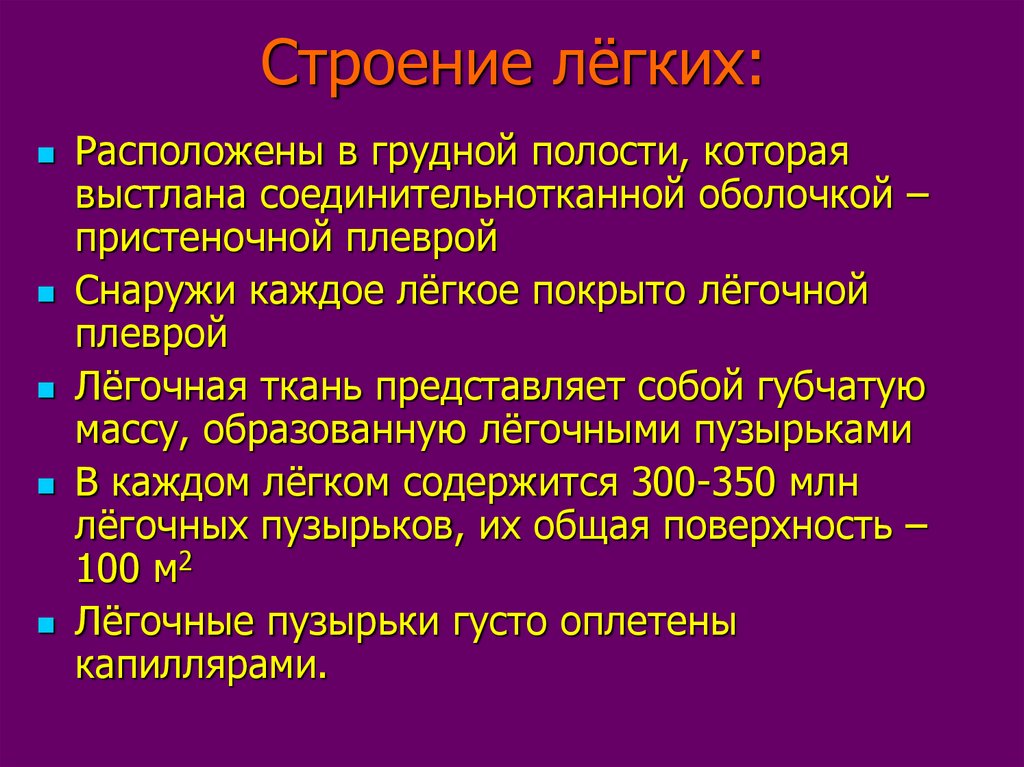 Содержит легкое. Снаружи каждое легкое покрыто соединительнотканной оболочкой. Характеристика легких расположены. Что содержится в легких. Какая поверхность отсутствует на каждом легком.