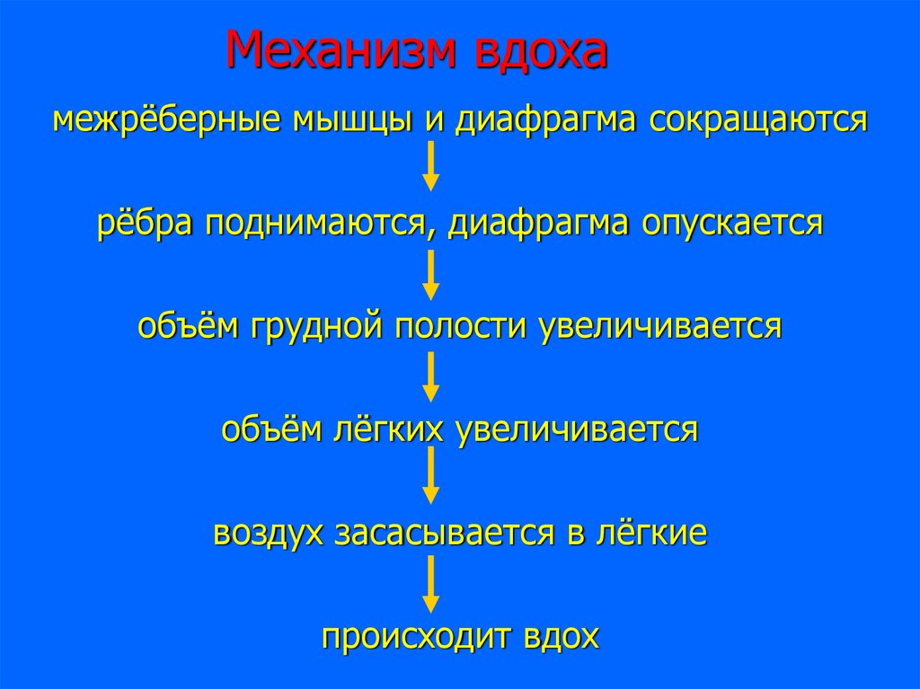 При вдохе каше