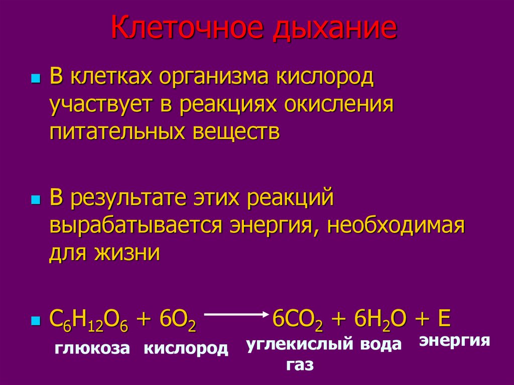 Схема процессы клеточного дыхания