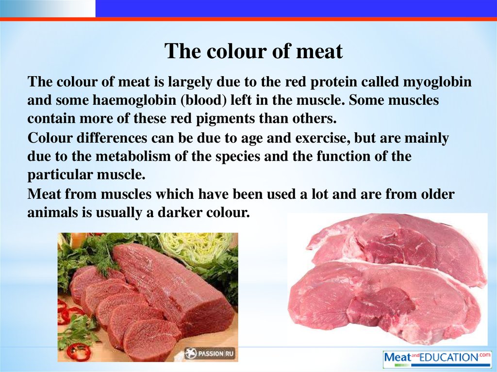 Meat множественное. Белок миоглобин в мясе. Миоглобин цвет мяса. Миоглобин в мясе птицы.